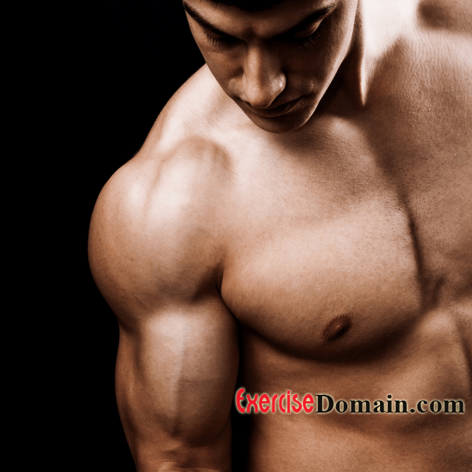 Arm Exercises