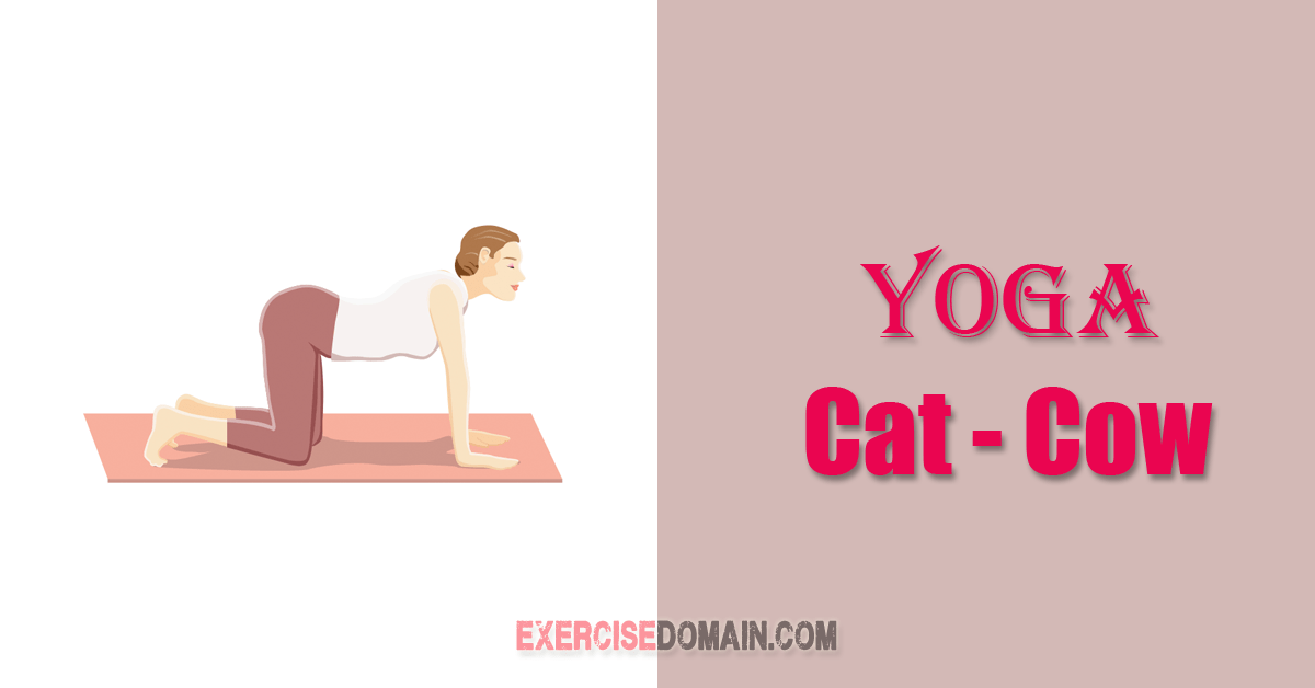 yoga cat cow